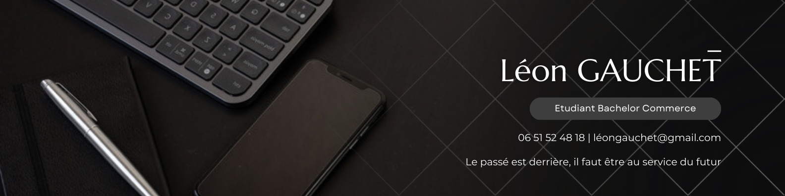 Simplistic Professionnel Bannière - Léon Gauchet