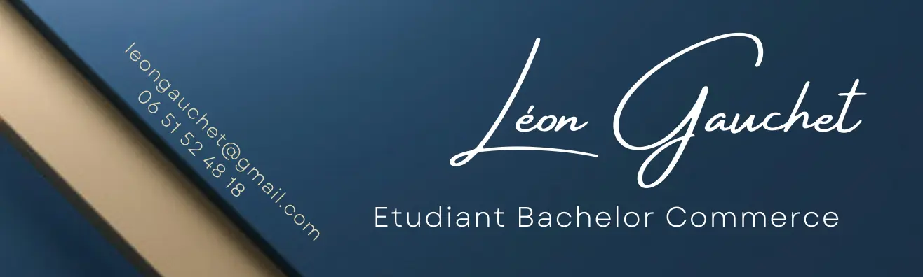 Moderne Professionnel Bannière - Léon Gauchet