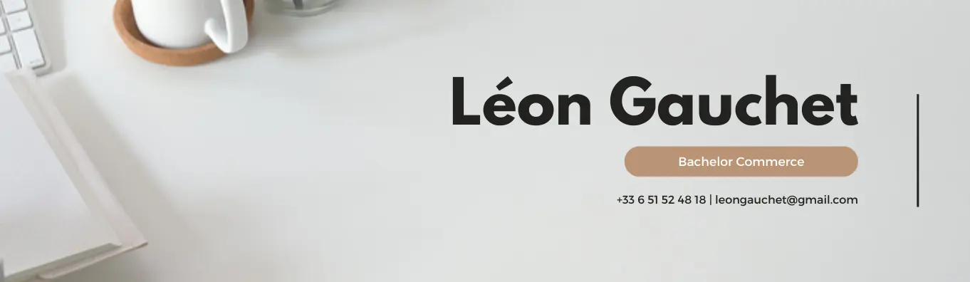 Moderne Professionnel Bannière - Léon Gauchet