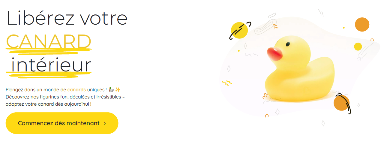 Simpliste et Décalé - Site internet - OnlyDuck