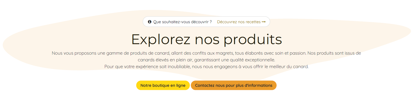 Simpliste et Décalé - Site CTA - OnlyDuck