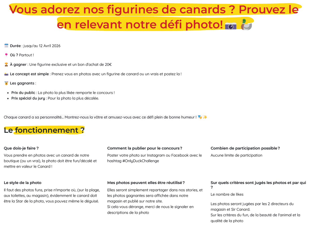 Simpliste et Décalé - Site internet - OnlyDuck