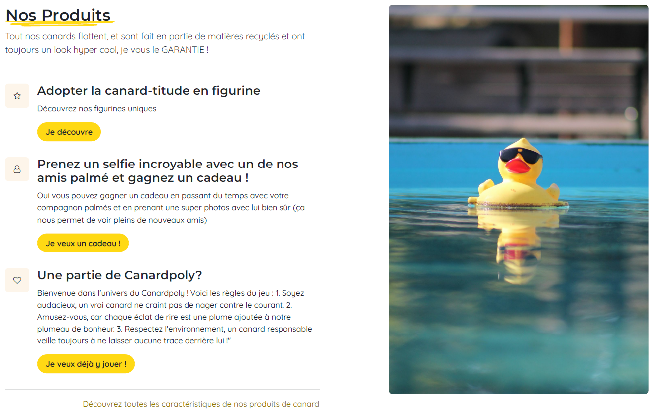 Simpliste et Décalé - Site internet - OnlyDuck